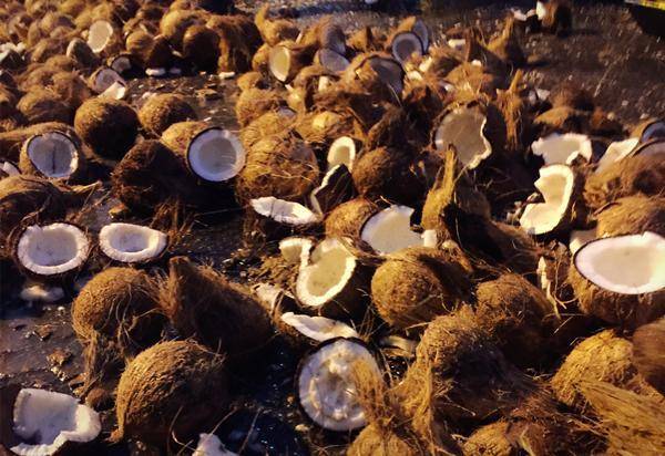 Coconut shell