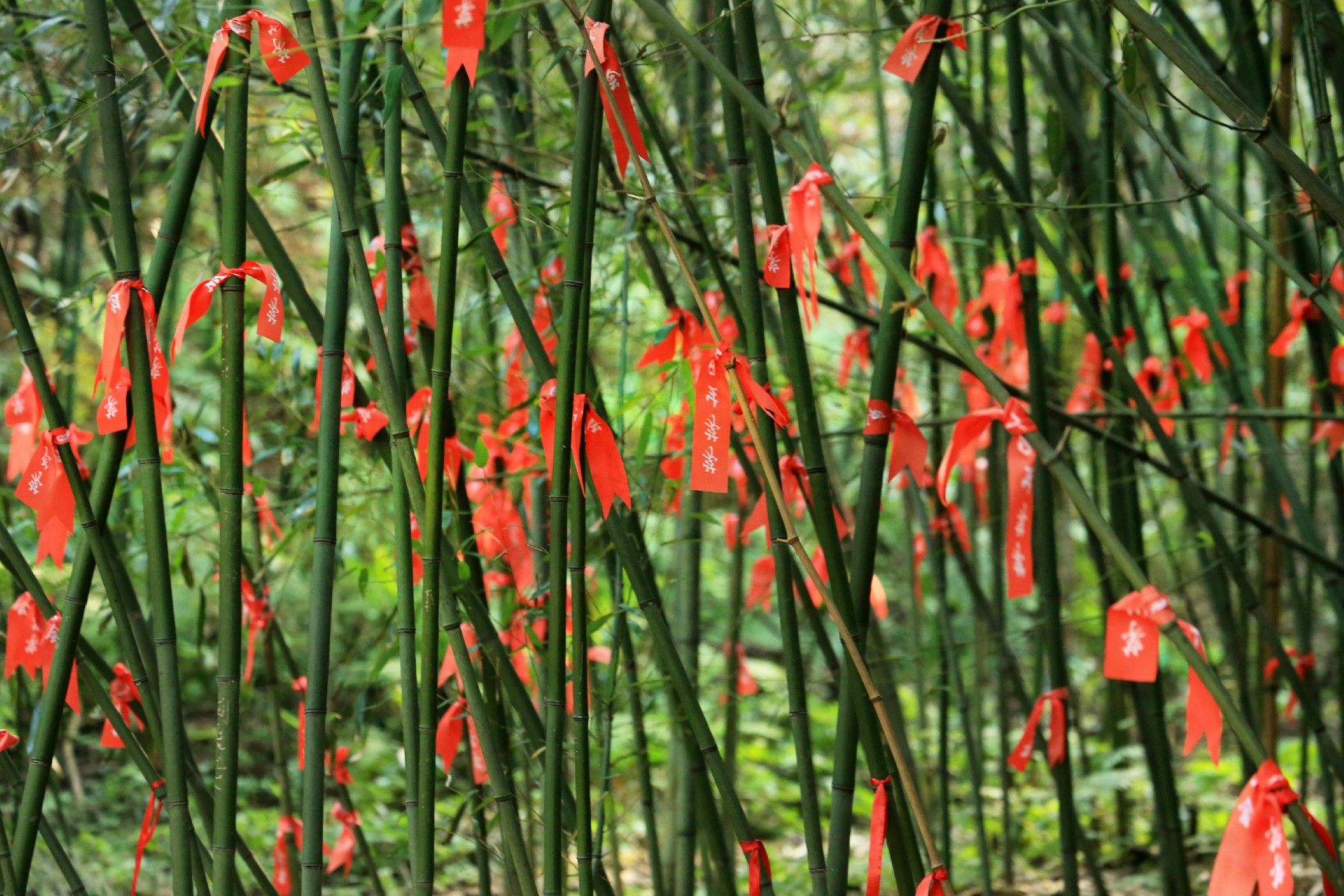 QingMing Festival 2026.jpg