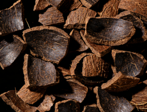 Carbonized Coconut Shell
